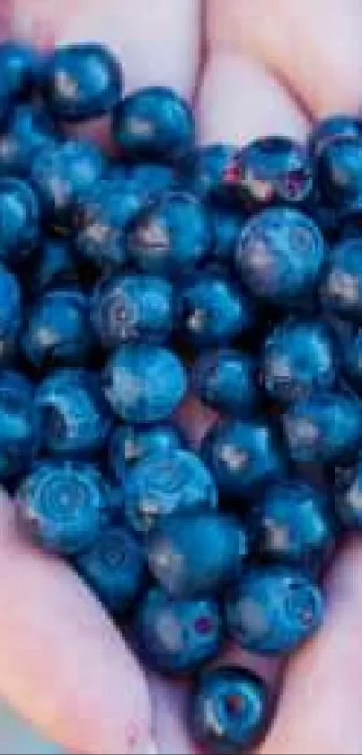 Heart-shaped blueberries held in hands as mobile wallpaper.