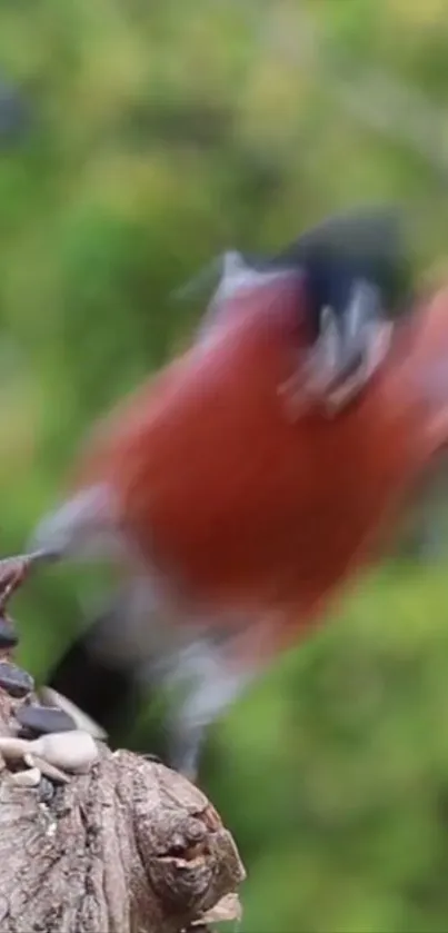 Blurred image of a bird in motion on a tree trunk with green background.