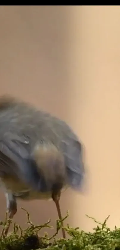 Blurred bird on a mossy surface, exuding natural charm.