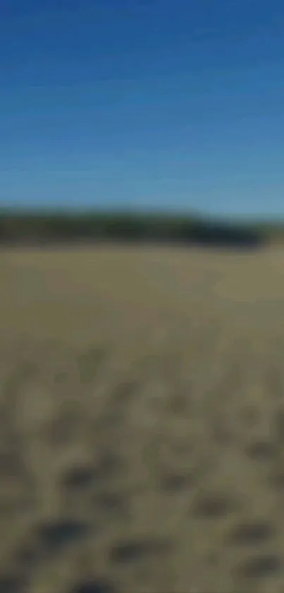 Blurry beach landscape with blue sky.