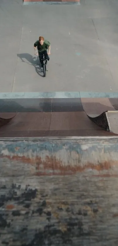 BMX rider on a tall urban ramp in a skatepark.