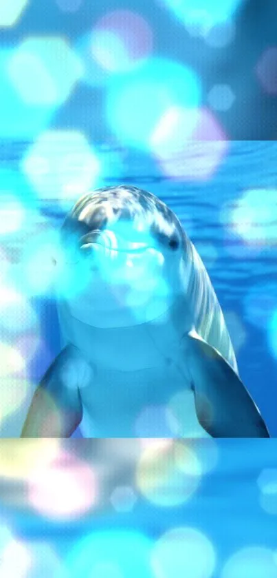 Dolphin with bokeh lights in a blue ocean wallpaper.