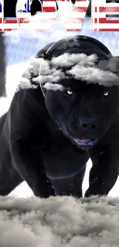 Black dog in snow with bold love text.