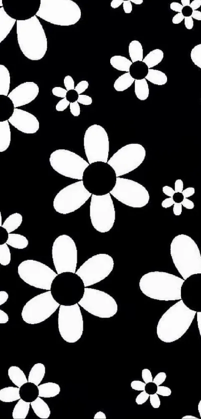 Black wallpaper with bold white flowers.