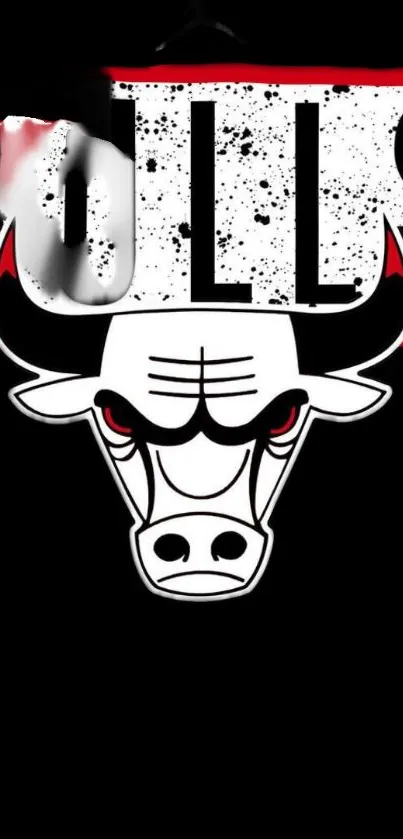 Bulls logo on black background with red accents.