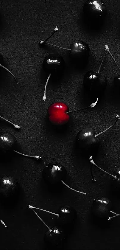 Dark cherries with one vibrant red cherry on a black background.