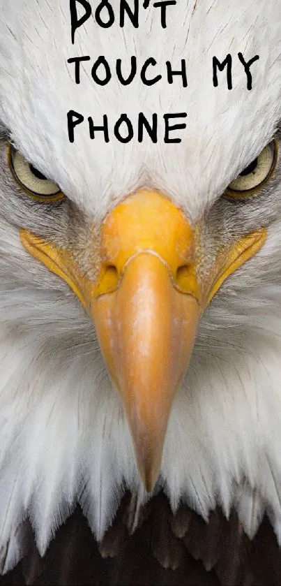 Close-up of an eagle with text 'Don't Touch My Phone'.