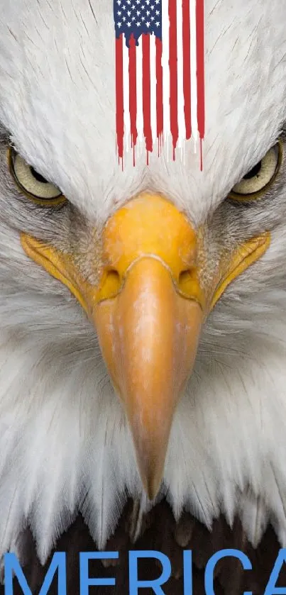 Bald eagle with flag design and 'MERICA' text.