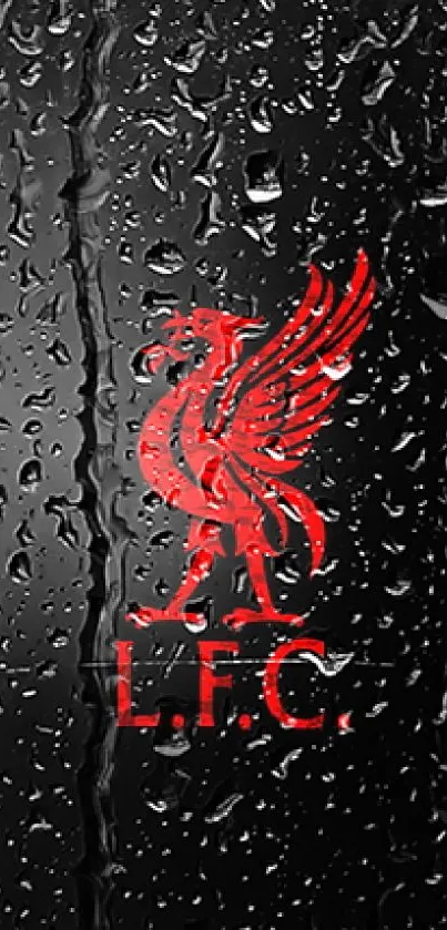 LFC emblem with red Liverbird on black background.