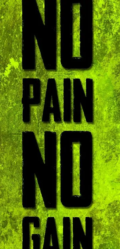 Motivational wallpaper saying 'No Pain No Gain' with a green textured background.