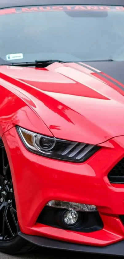 Striking red sports car with black accents on pavement.