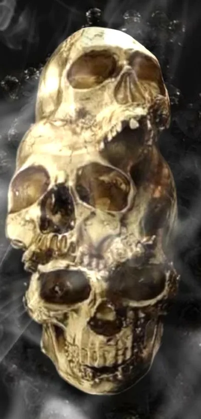 Bone Jaw Skull Live Wallpaper