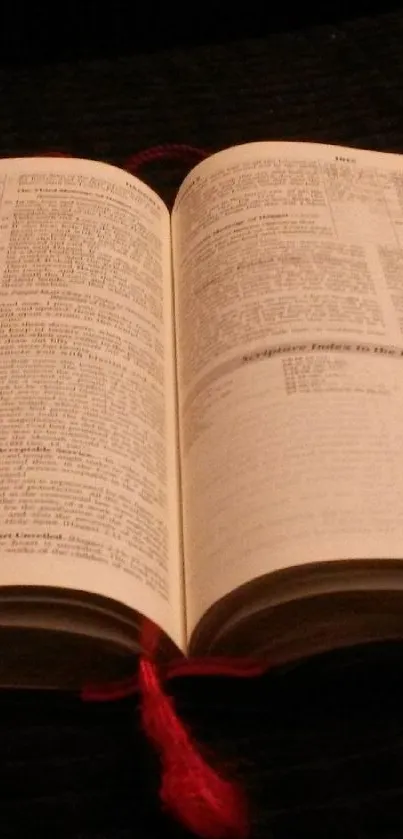 book Live Wallpaper