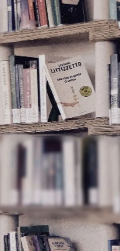 Cozy bookshelf with diverse books for a calming wallpaper aesthetic.