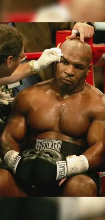 Legendary boxing champion sitting focused during a match.