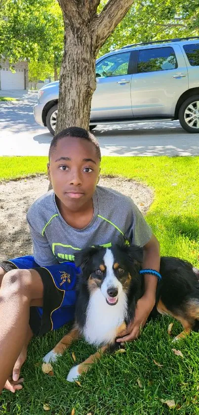 Boy sitting with dog on green grass under a tree, on a sunny day.