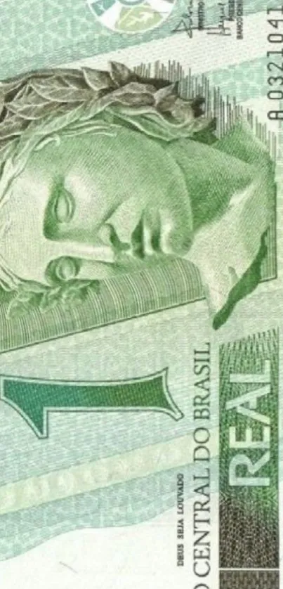 Detailed design of a Brazilian one real note art.