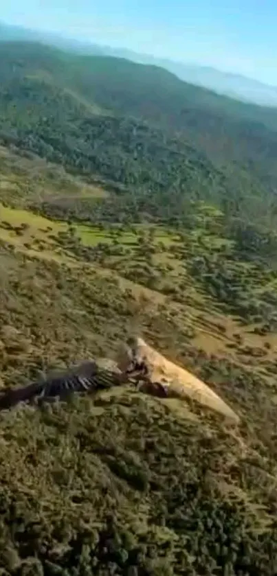 Aerial view of lush green mountains and landscape.