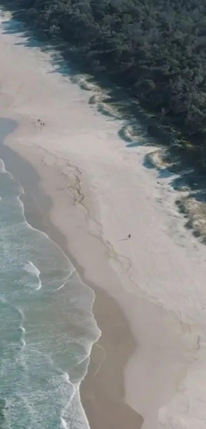 Aerial view of a serene and picturesque beach with gentle waves and sandy shores.