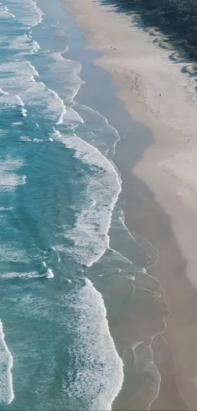 Aerial view of ocean waves meeting sandy beach on a sunny day.