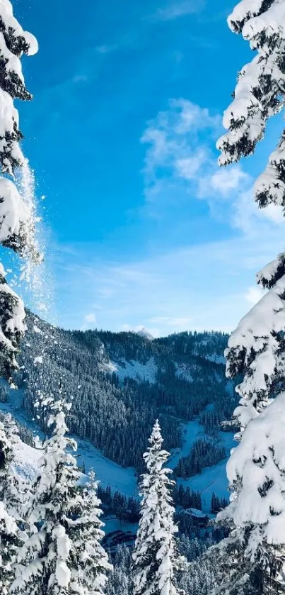 Snowy mountain and forest view with clear blue sky.