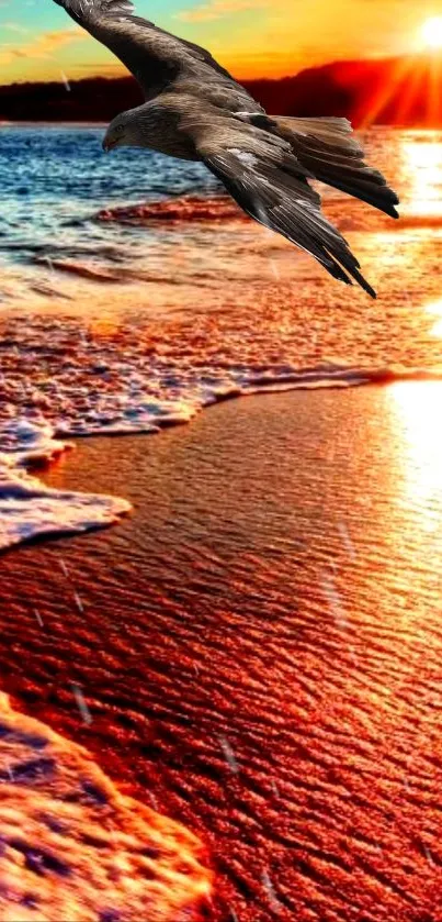 Seagull flying over beach at vibrant sunset.