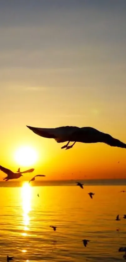 A serene sunset with birds flying over tranquil waters.