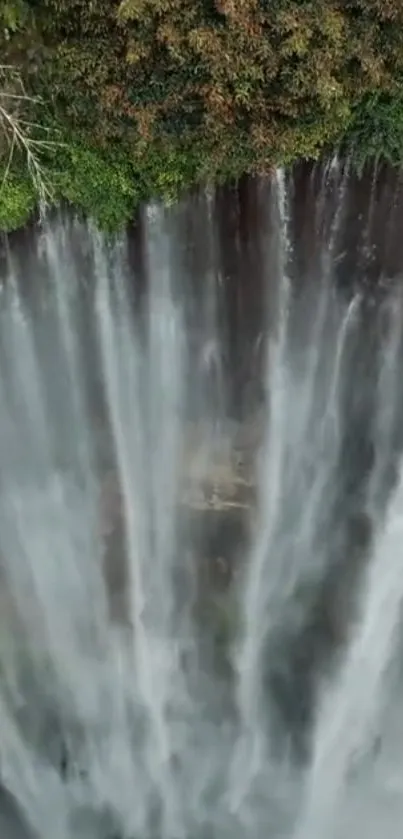 Aerial view of a cascading waterfall surrounded by lush greenery.