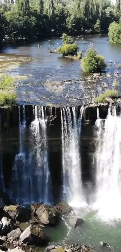 Lush green forest with cascading waterfall in landscape view.