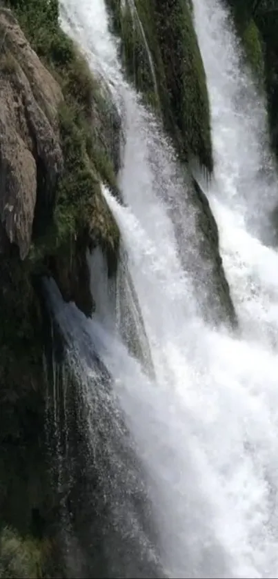 Cascading waterfall amidst lush greenery, perfect for a serene mobile wallpaper.