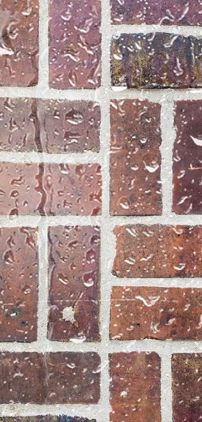 Brick pattern mobile wallpaper with rustic texture and vibrant colors.