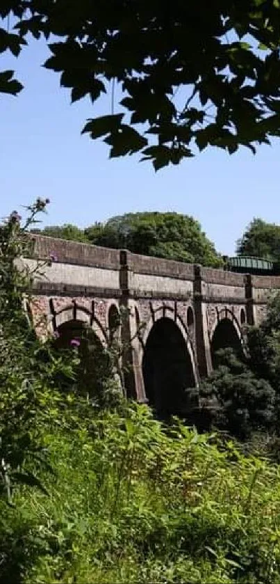 Mobile wallpaper of a stone bridge surrounded by lush green foliage.