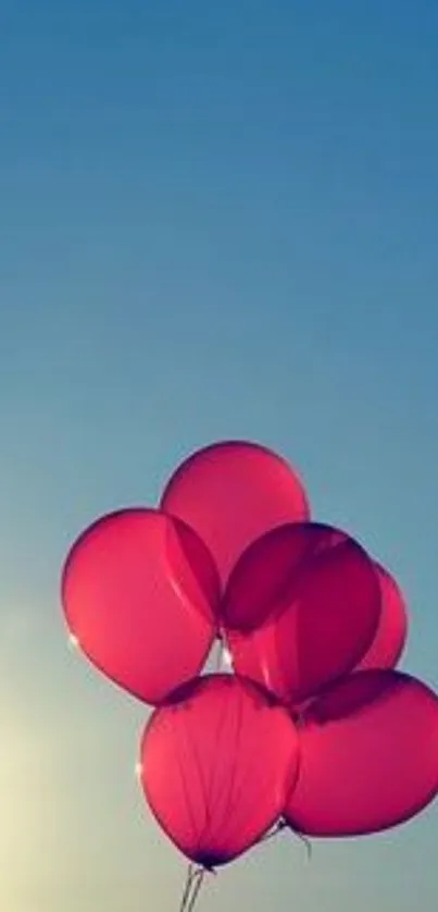 Pink balloons floating against a clear blue sky.