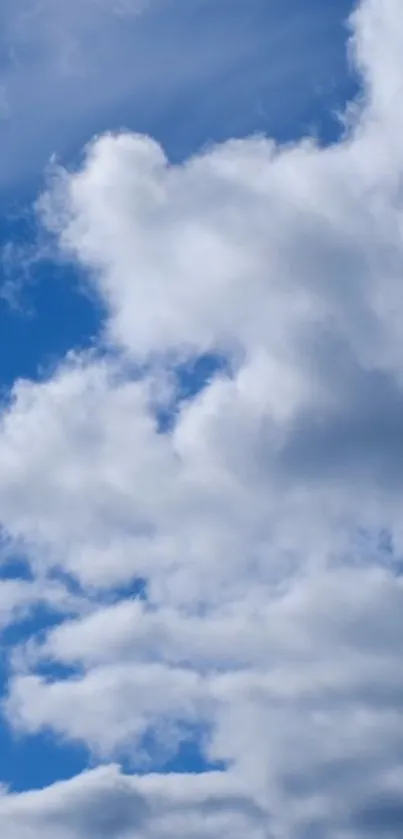 Bright blue sky with fluffy white clouds wallpaper.