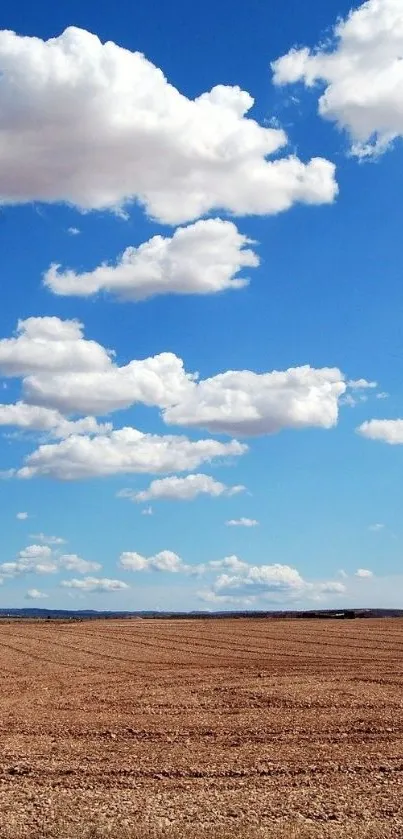 Serene landscape with blue sky and fluffy clouds in open field.