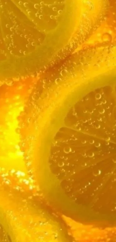 Bright yellow lemon slices with bubbling texture.