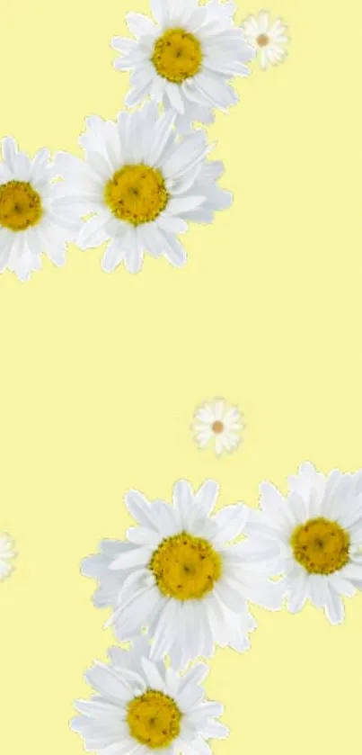 Mobile wallpaper with white daisies on pale yellow background.