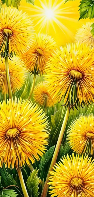 Artistic yellow dandelions with green leaves in sunlight.