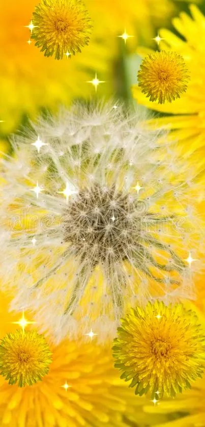 Bright yellow dandelion seeds with sparkling effects on wallpaper.