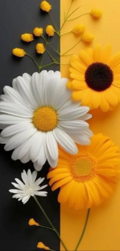 Yellow and white flowers on black and yellow background.