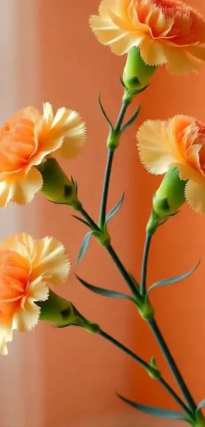 Orange carnations on a whimsical background.