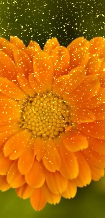 Vibrant orange flower with green leaves background.