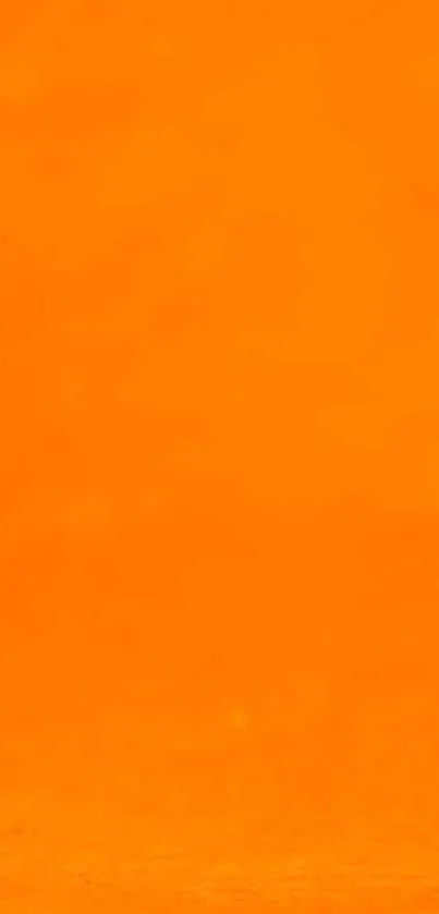 Bright orange wallpaper for mobile phone screens.