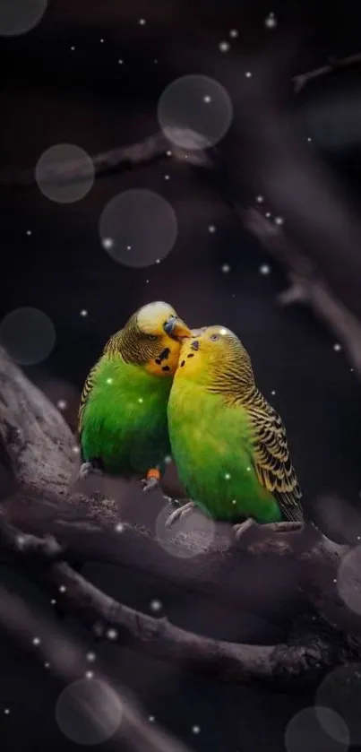 Two vivid green parakeets on a branch with a dark artistic background.