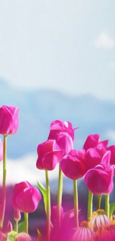 Vibrant pink tulips in front of misty mountains.