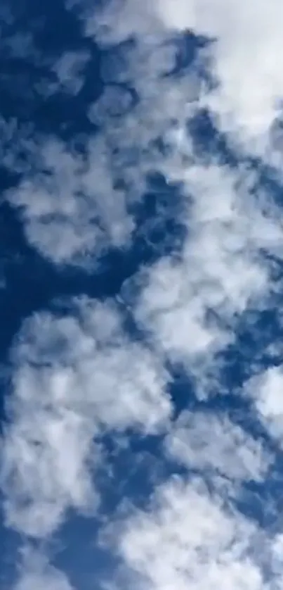 Mobile wallpaper with blue sky and fluffy white clouds.