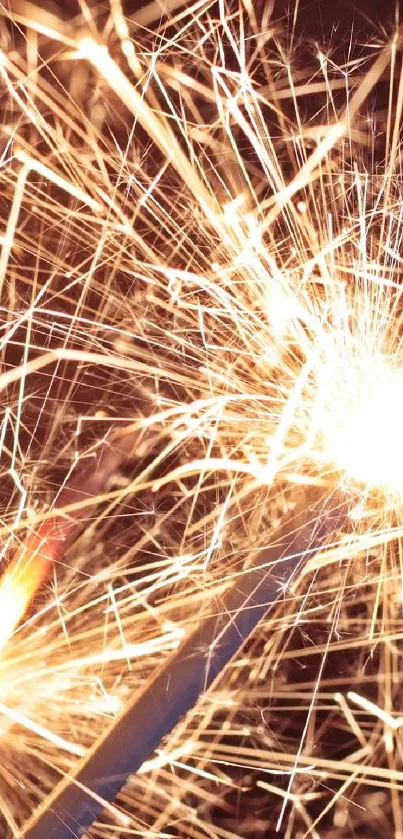 Close-up of vibrant sparklers against dark night background.