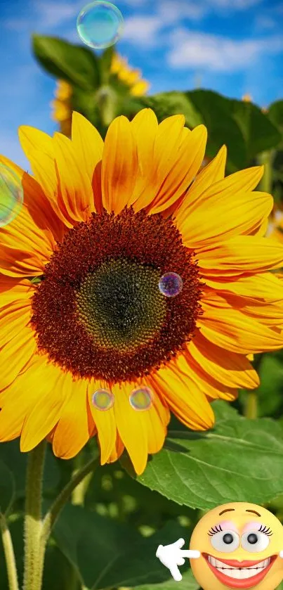 Bright yellow sunflower against a clear blue sky with bubbles and greenery.