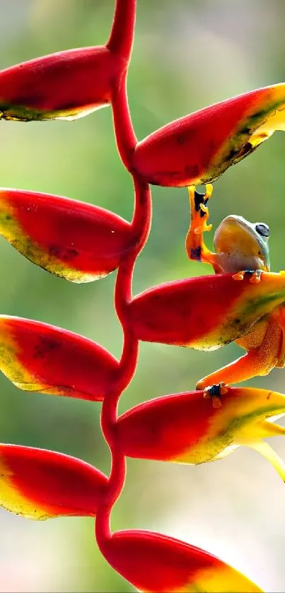 Vibrant tropical leaf with frog wallpaper.