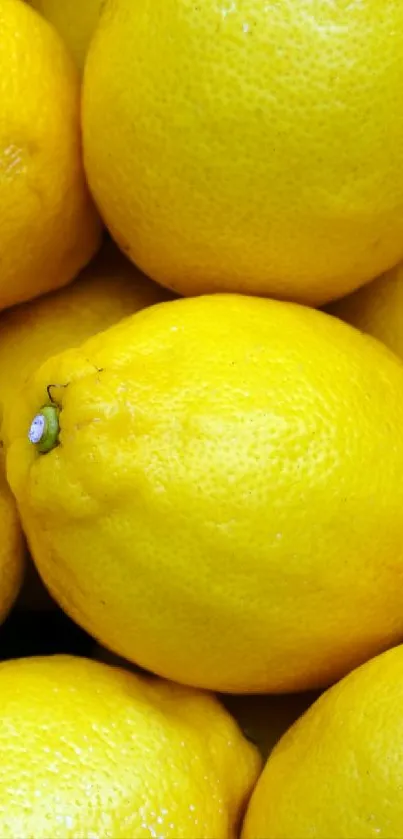 Vibrant yellow lemons stacked closely together.
